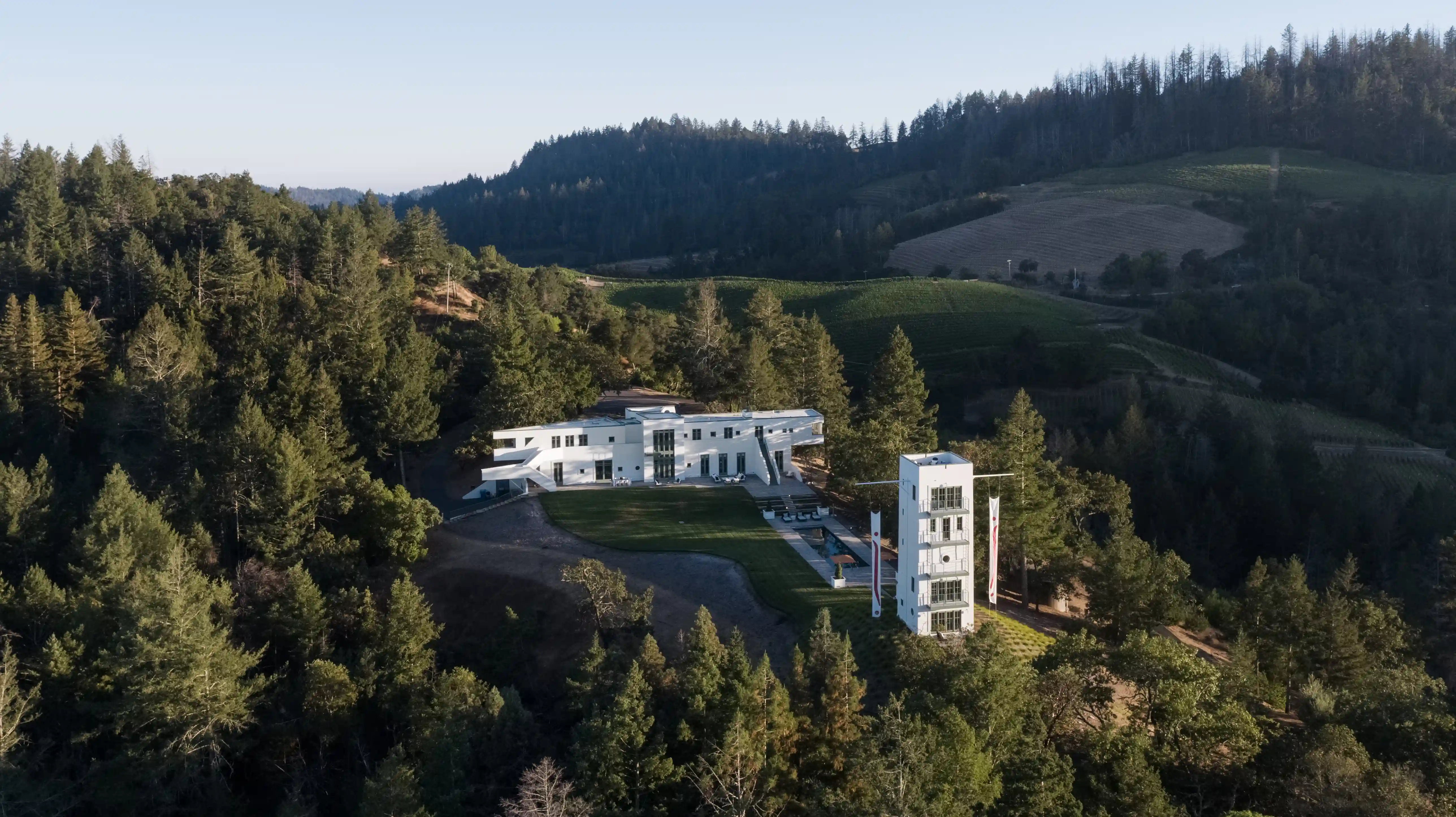 Rutherford vineyards and landscape