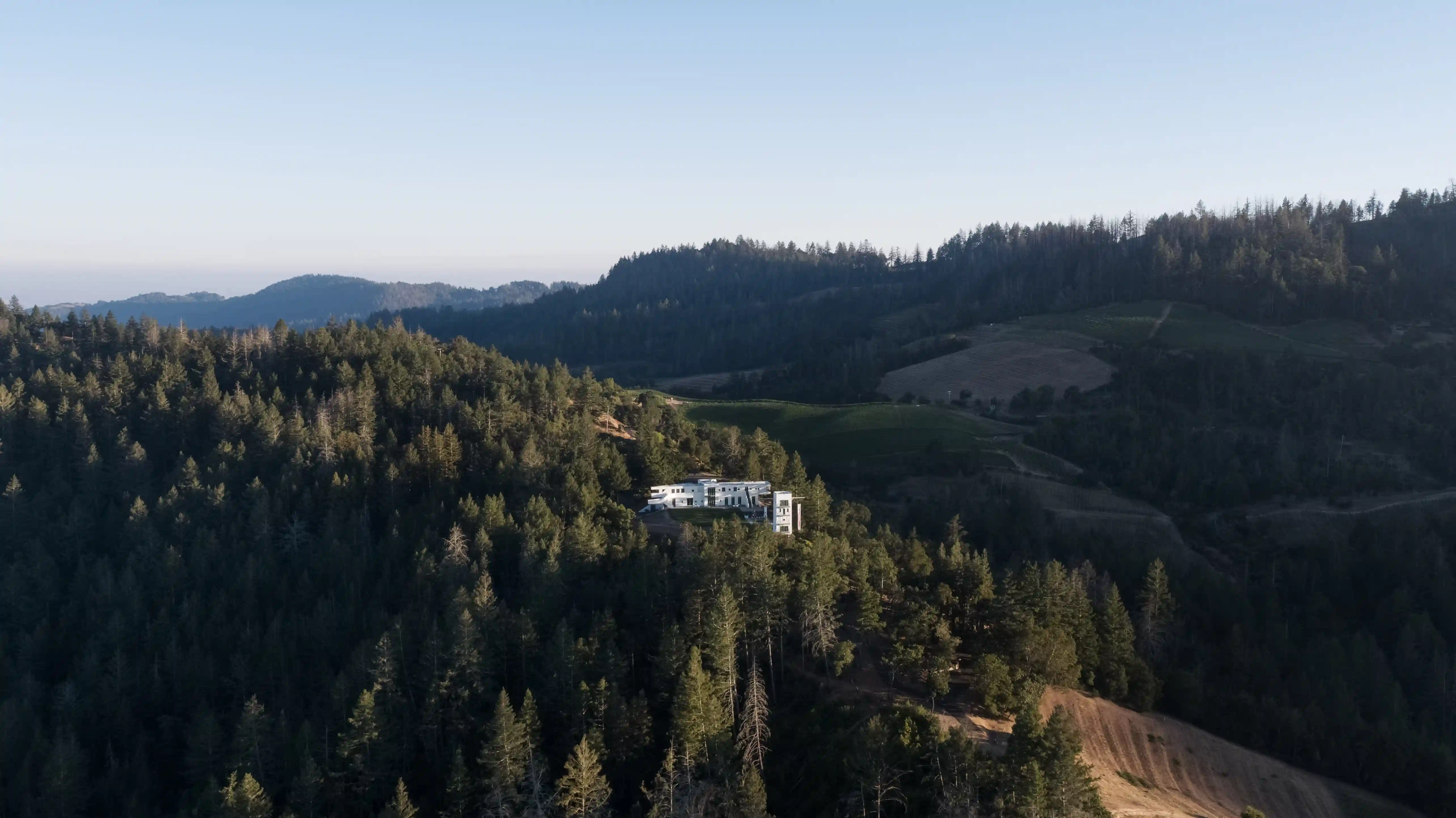 Luxury estate in Rutherford, Napa Valley