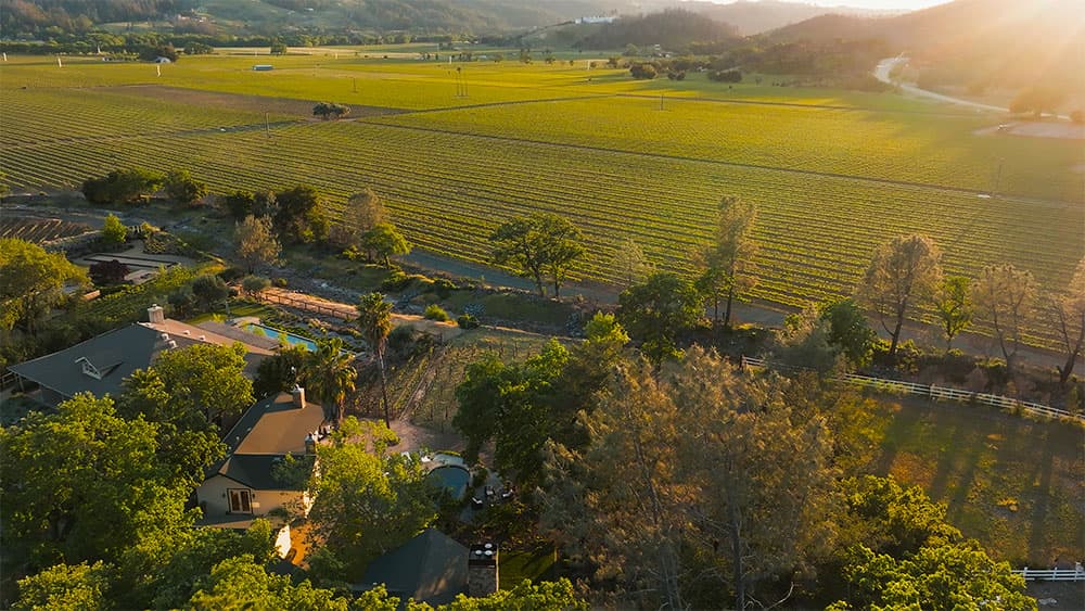 Wine Tasting in Napa Valley
