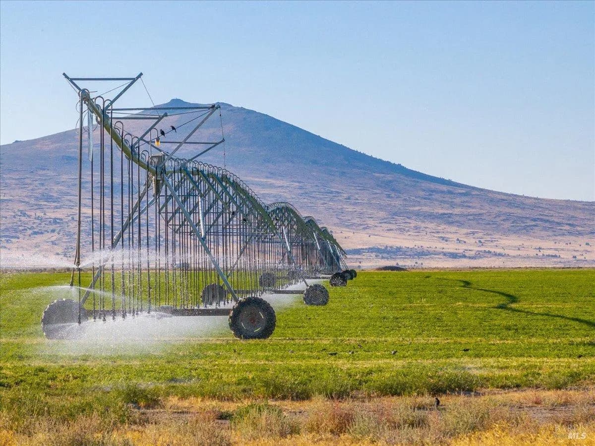 650 Tuledad Road - in Ravendale, CA