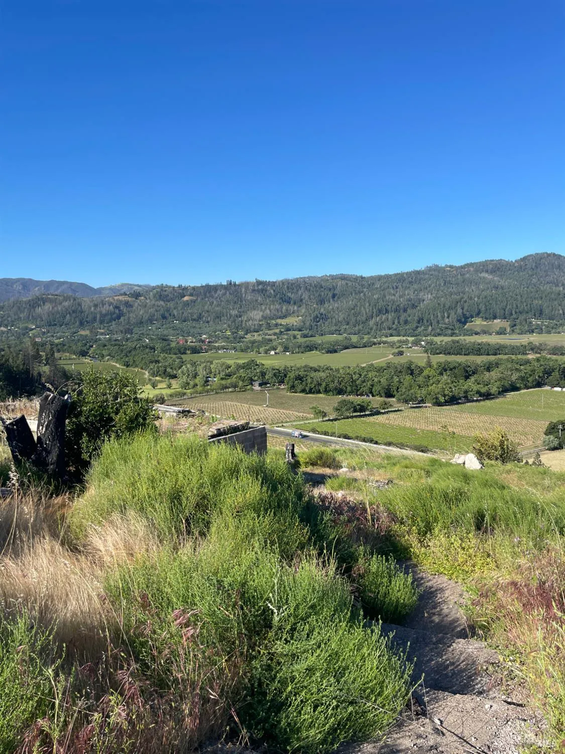 3502 Silverado N Trail - Photo 1