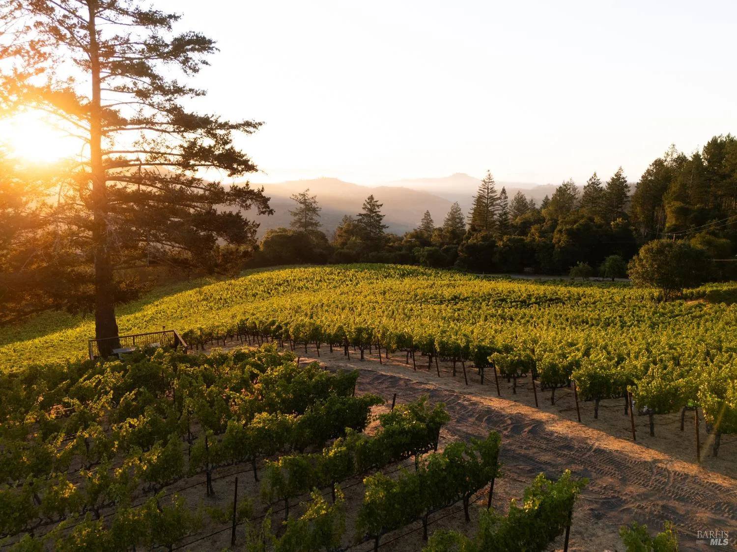 316 Wall Road - Photo 1