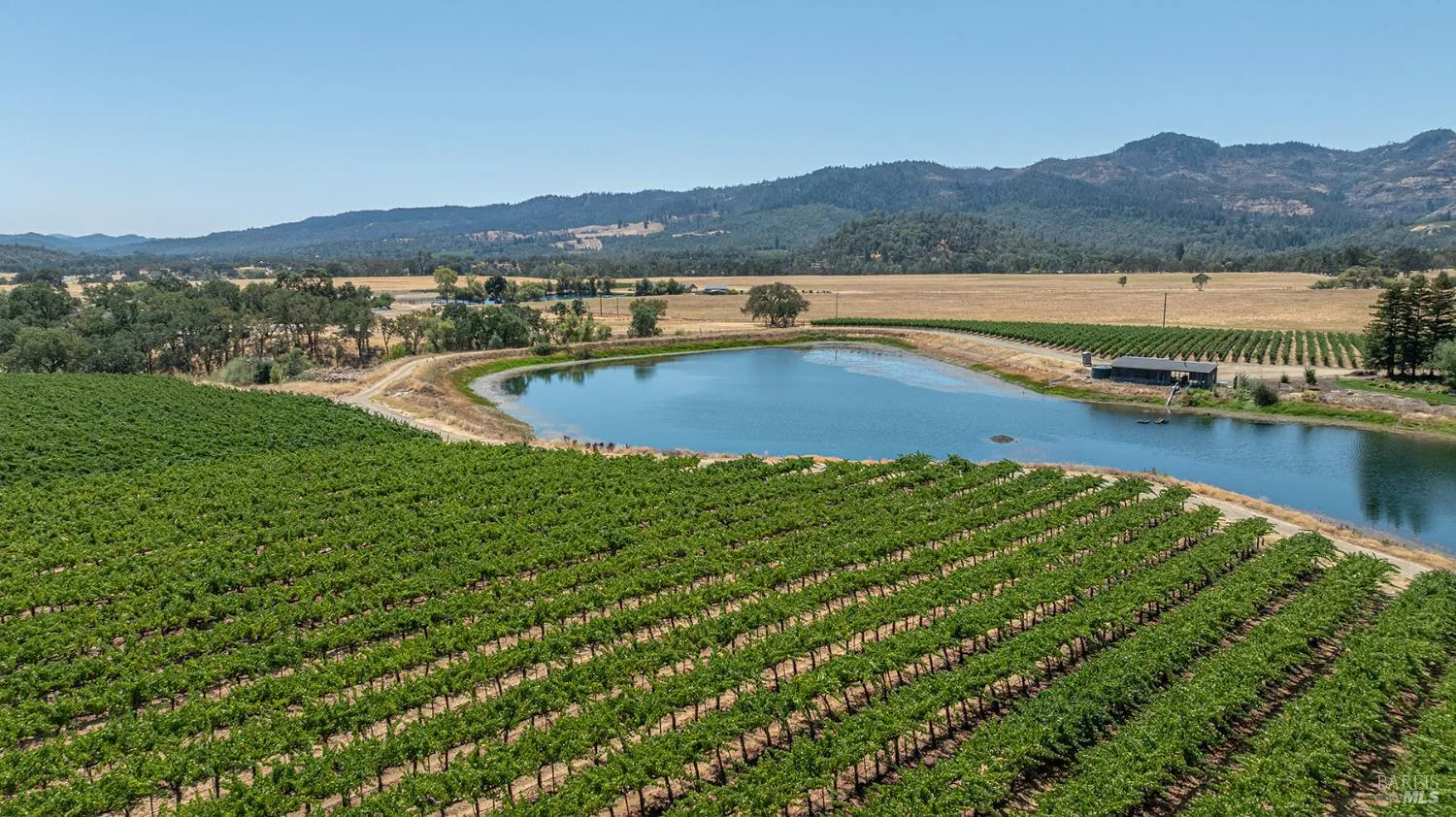 Aetna Springs Lane - Photo 1