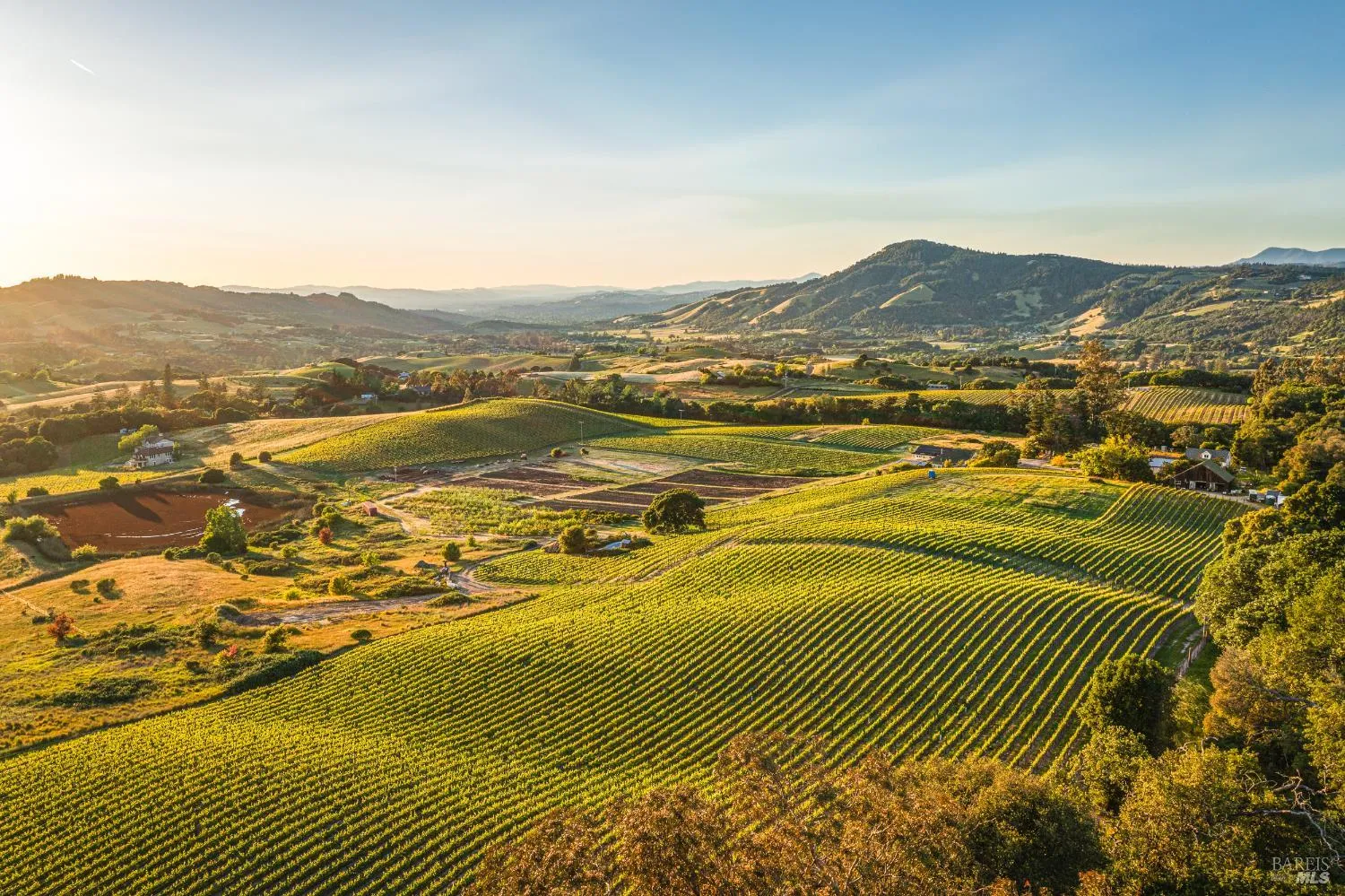 5561 Sonoma Mountain Road - Photo 1