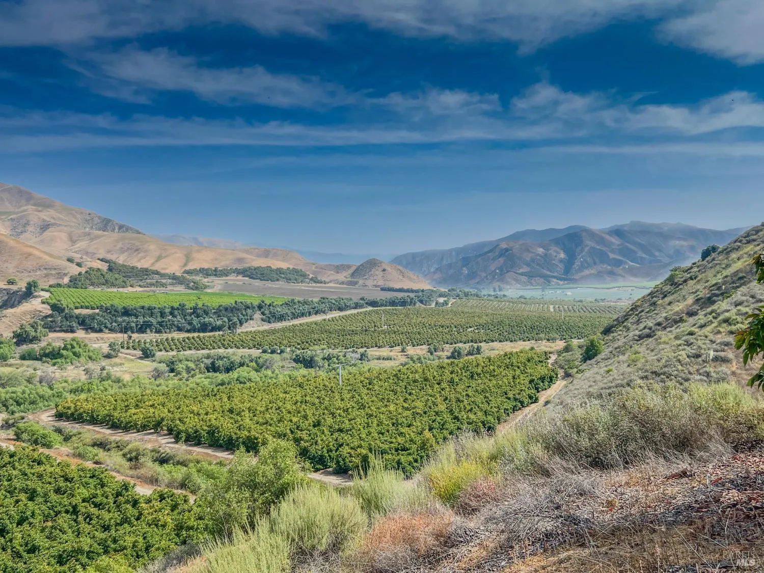 3800 Piru Canyon Road - Photo 1