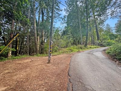 21155 Siri Road - Photo 1