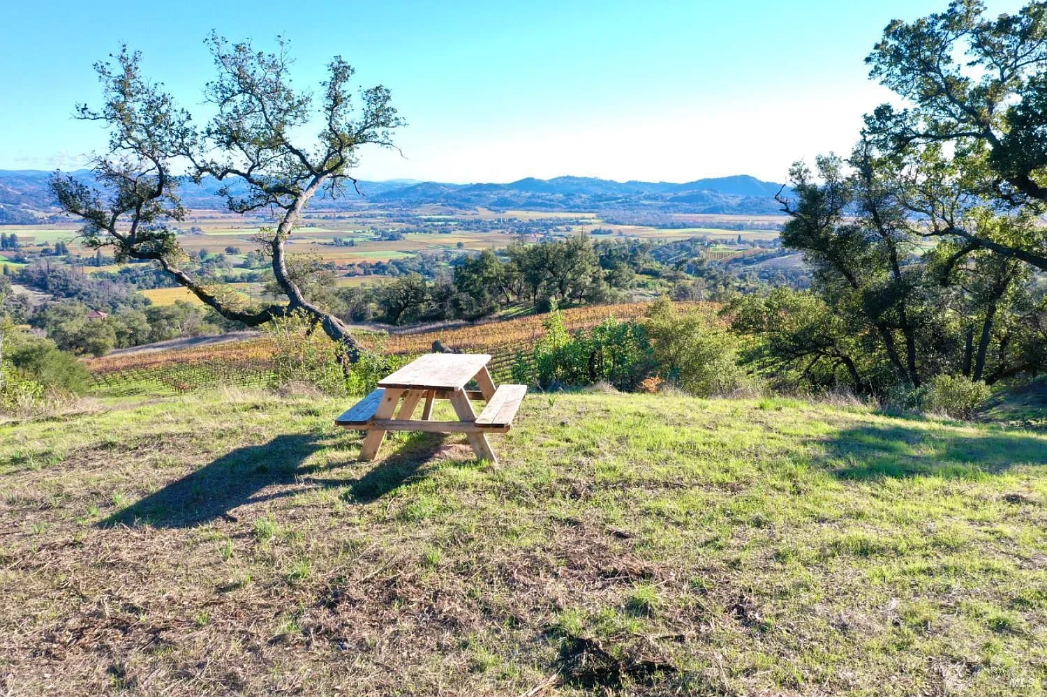 577 Artisan Circle - Photo 1