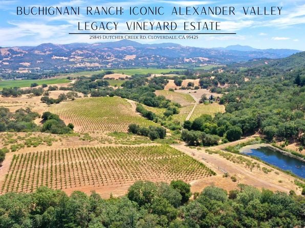 0 Dutcher Creek Road - Photo 1