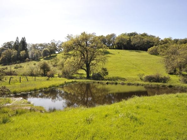 1640 Canyon Run - Photo 1