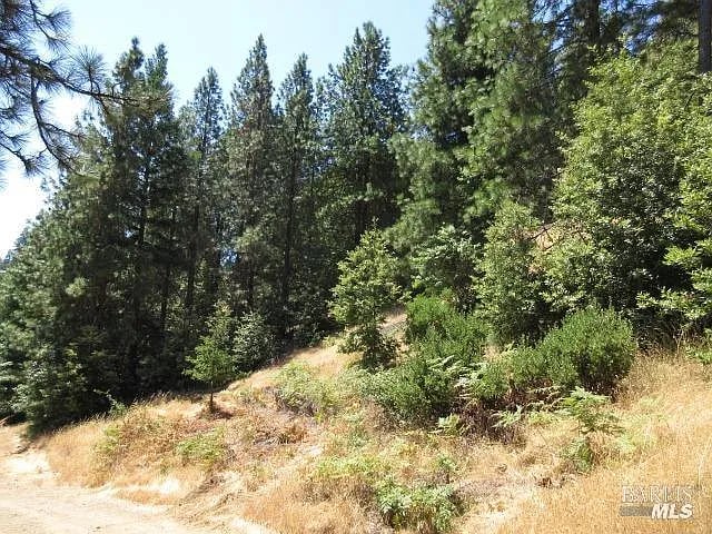 23480 Fort Ross Road - Photo 1