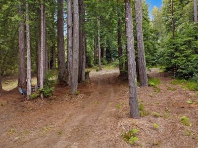 22039 Timber Cove Road - Photo 1