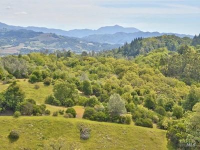 950 Canyon Road - Photo 1