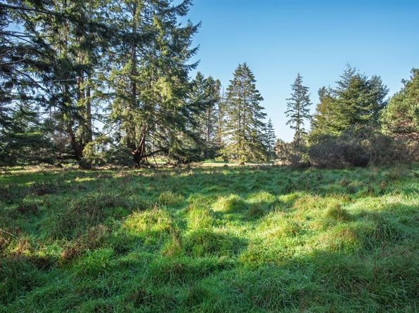 36231 Timber Ridge Road - Photo 1