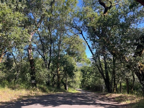 4848 Perracca Rd - Photo 1