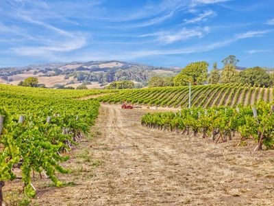 1450 Stage Gulch Road - Photo 1