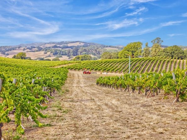 1450 Stage Gulch Road - Photo 1