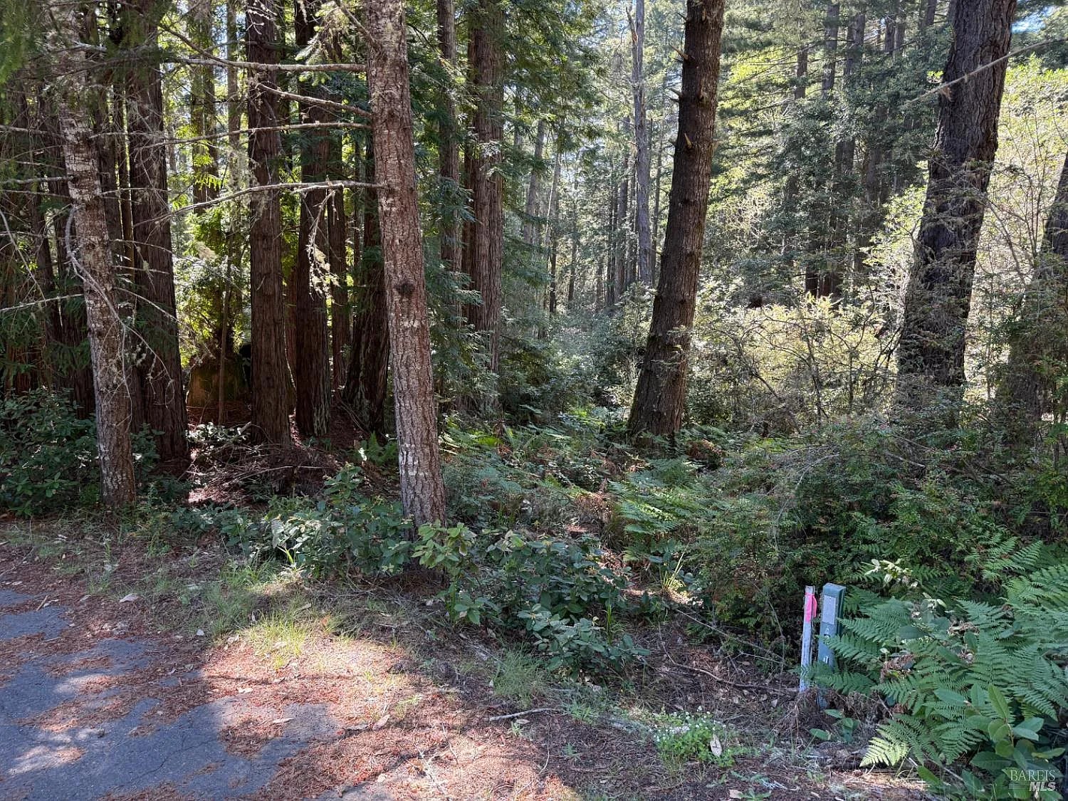 369 Big Tree Close Road #27A13 - Photo 1