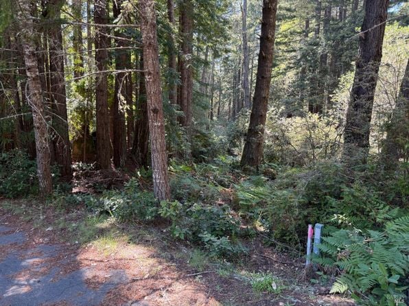 369 Big Tree Close Road #27A13 - Photo 1