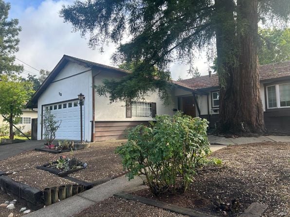 712 Jack London Drive - Photo 1