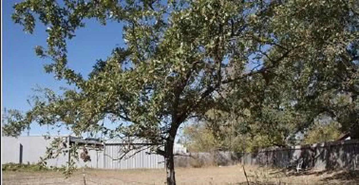 1116 Lance Dr - Photo 1