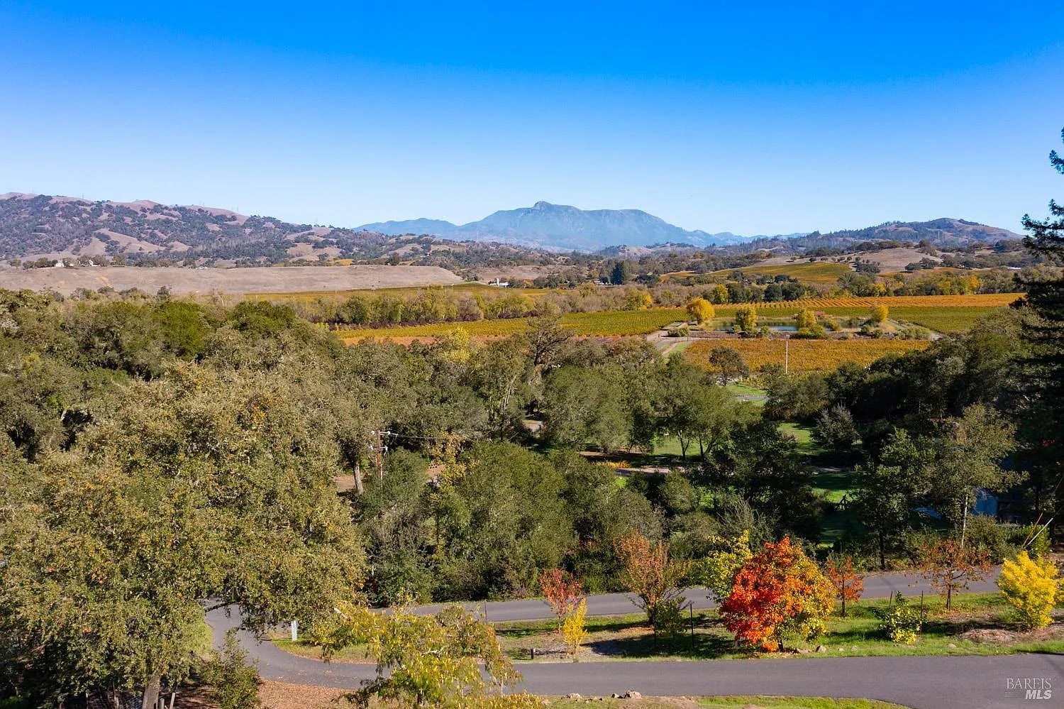 5100 W Soda Rock Lane - Photo 1