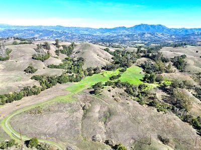 13000 Los Amigos Road - Photo 1