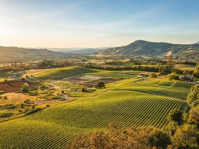 5561 Sonoma Mountain Road - Photo 1