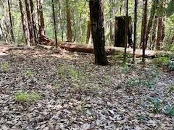 388 Moonraker Road - Photo 1