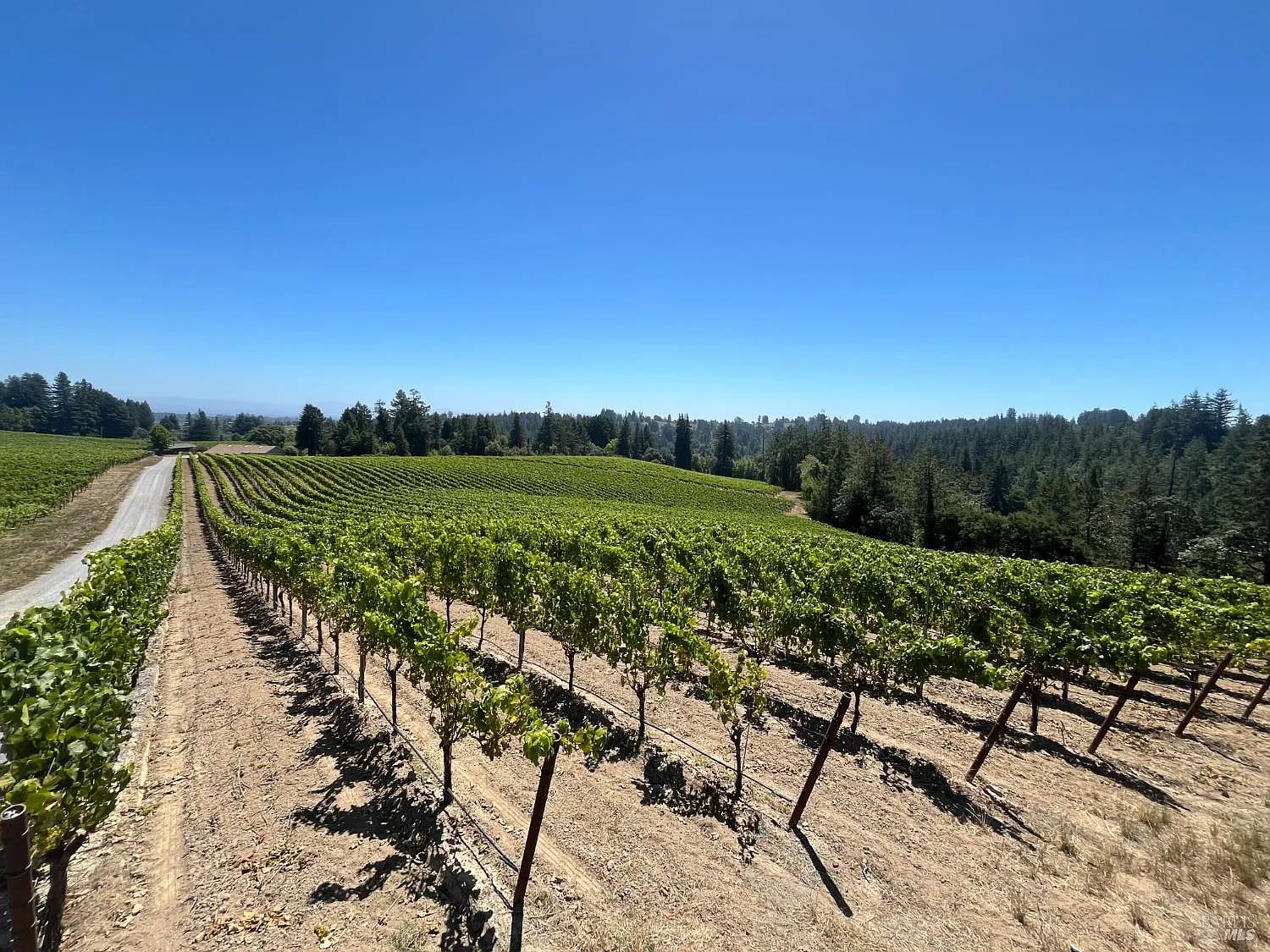 11480 Graton Road - Photo 1