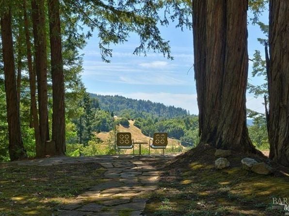 18900 NW Armstrong Woods Road NW - Photo 1