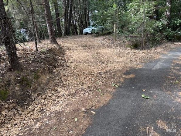 17707 Rockpile Road - Photo 1