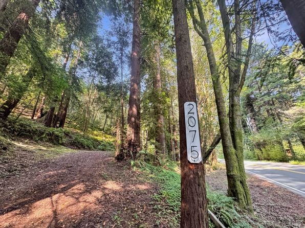 2075 Cazadero Highway - Photo 1