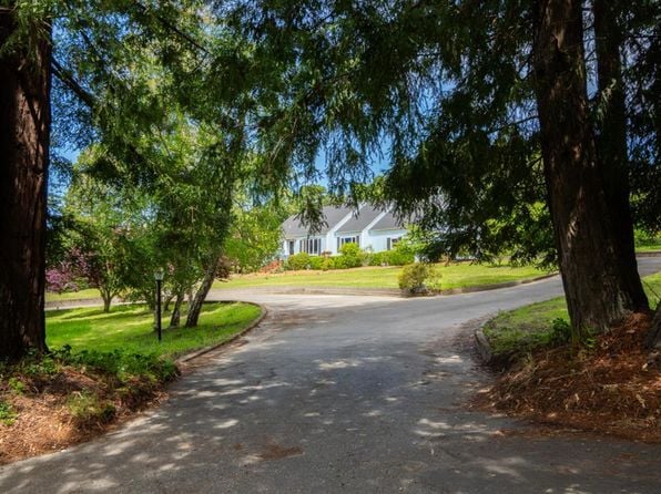 8099 Yule Tree Lane - Photo 1