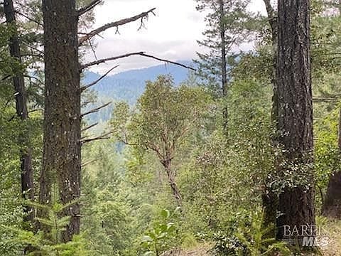 19800 Old Cazadero Rd - Photo 1