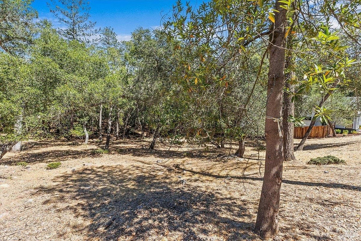 796 Los Olivos Road - Photo 1