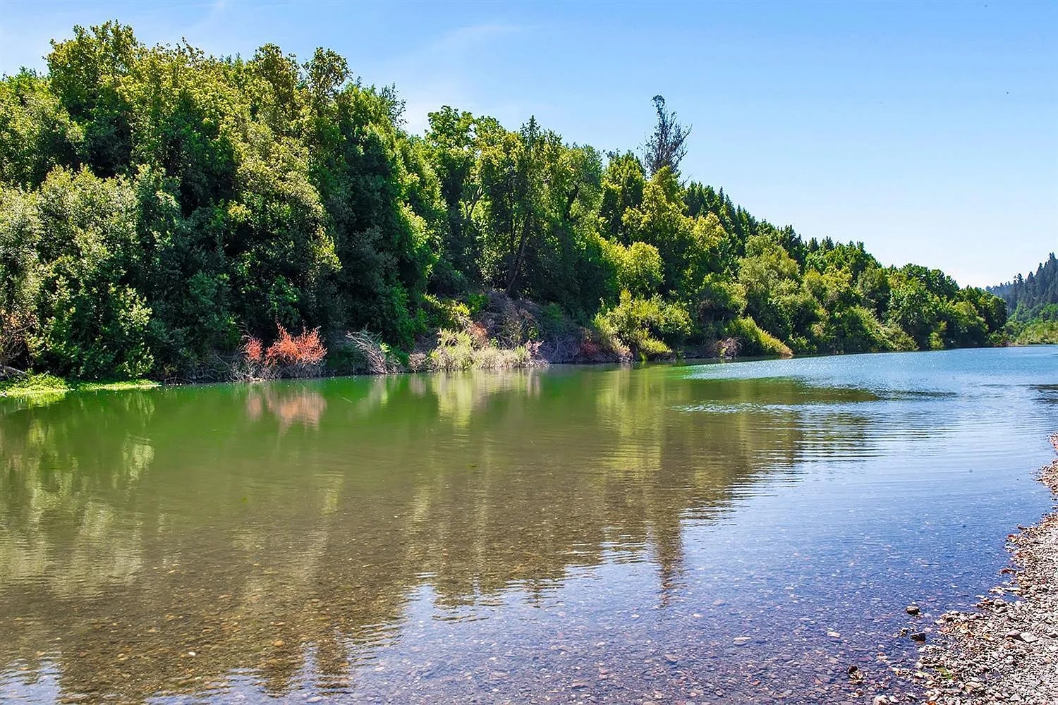 14792 Northern Avenue - Photo 1