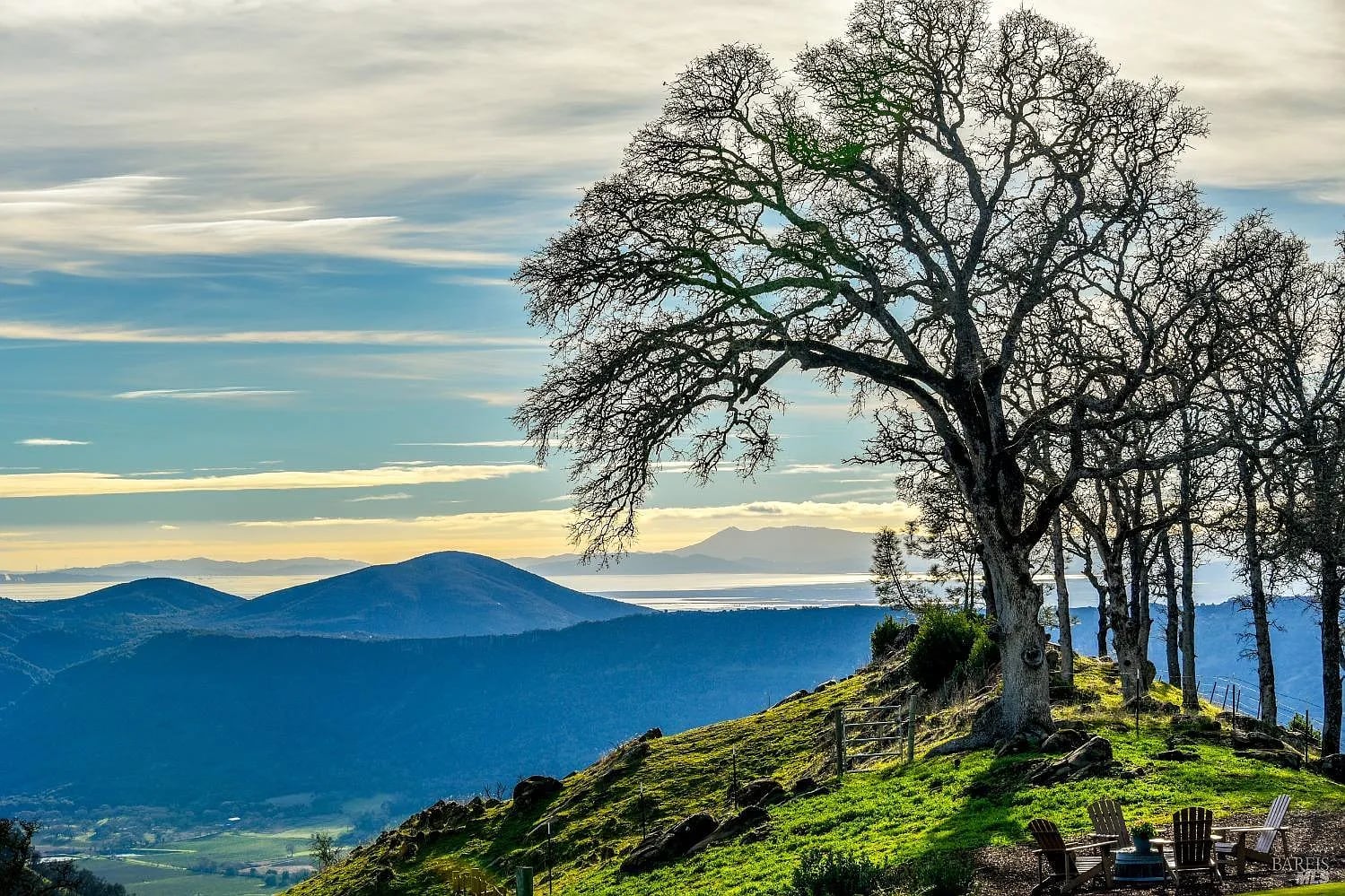 100 Longhorn Ridge Road - Photo 1