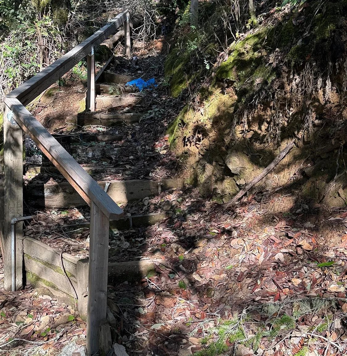 17561 Duncan Road - Photo 1