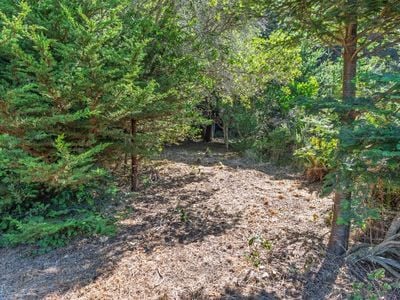 332 Antler Close - Photo 1