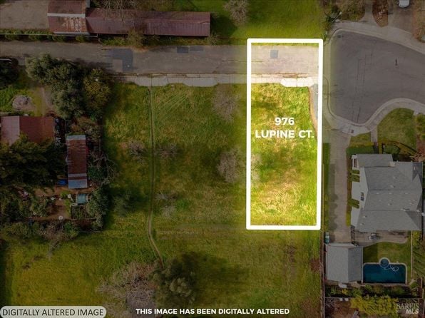 976 Lupine Court - Photo 1