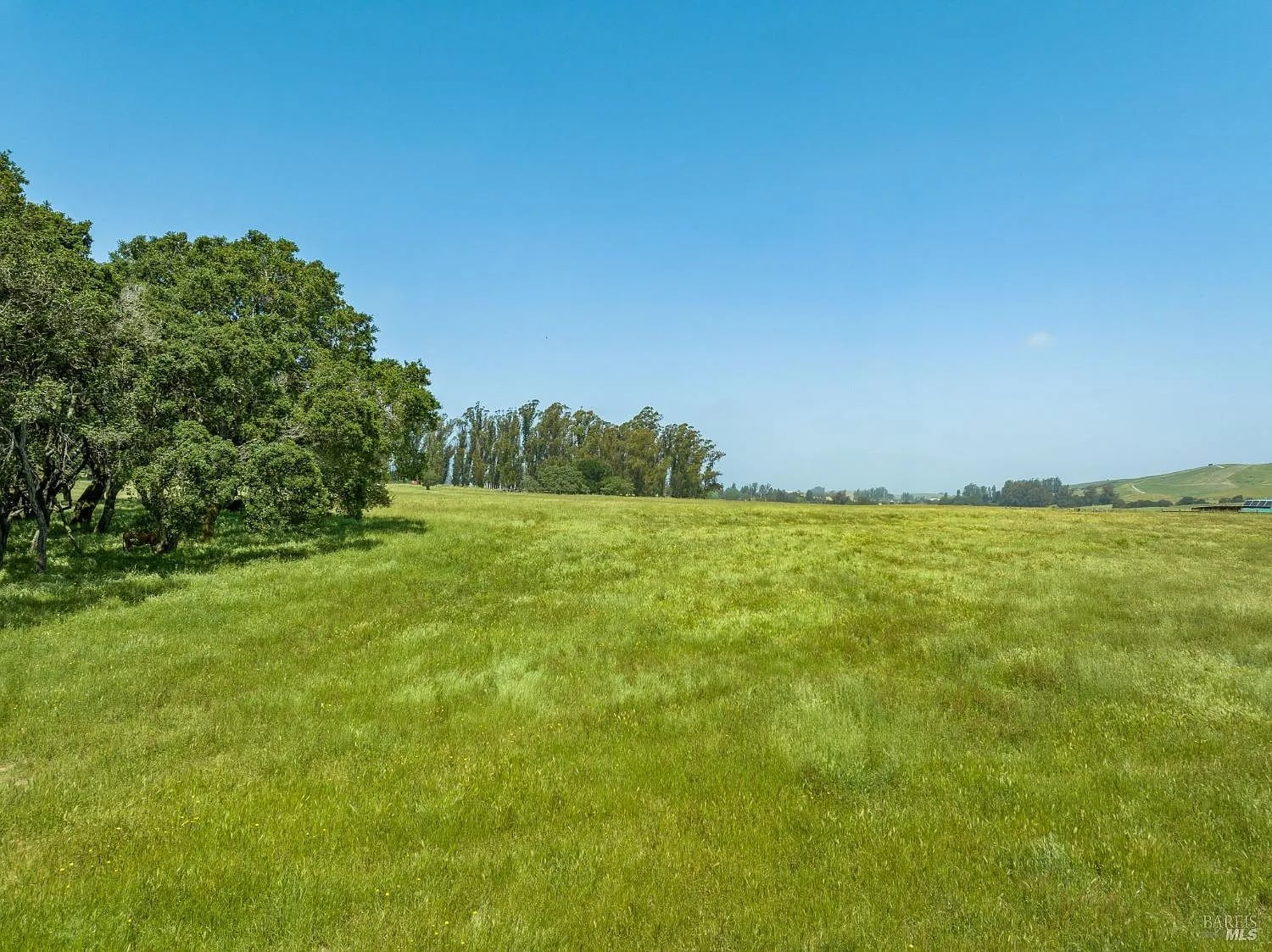 130 Jewett Road - Photo 1