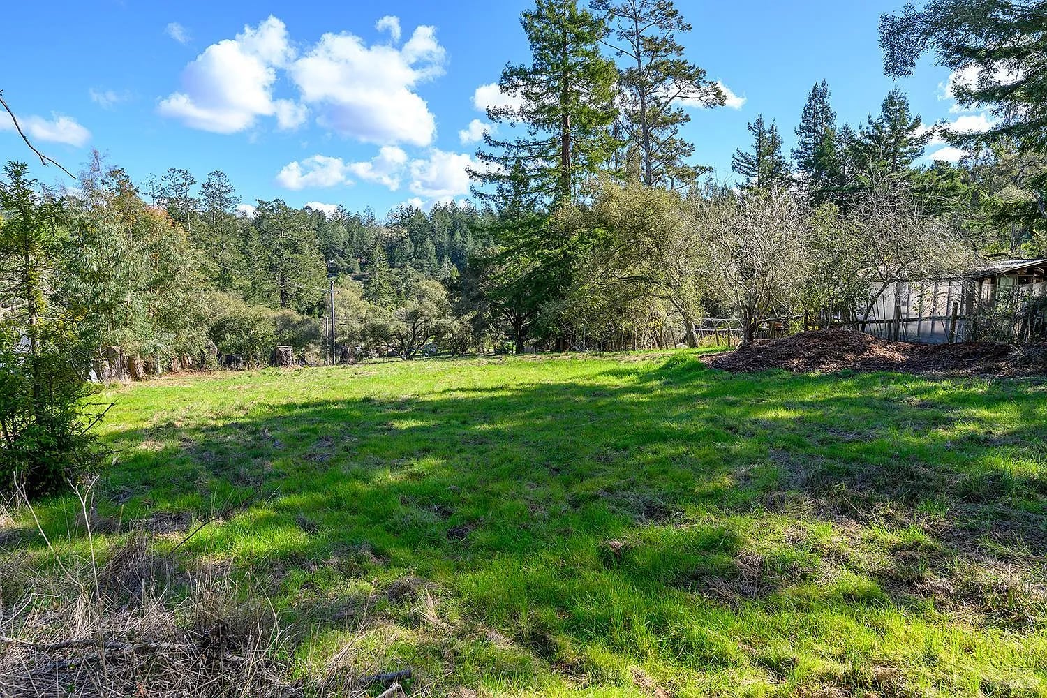 1120 W Sexton Road - Photo 1