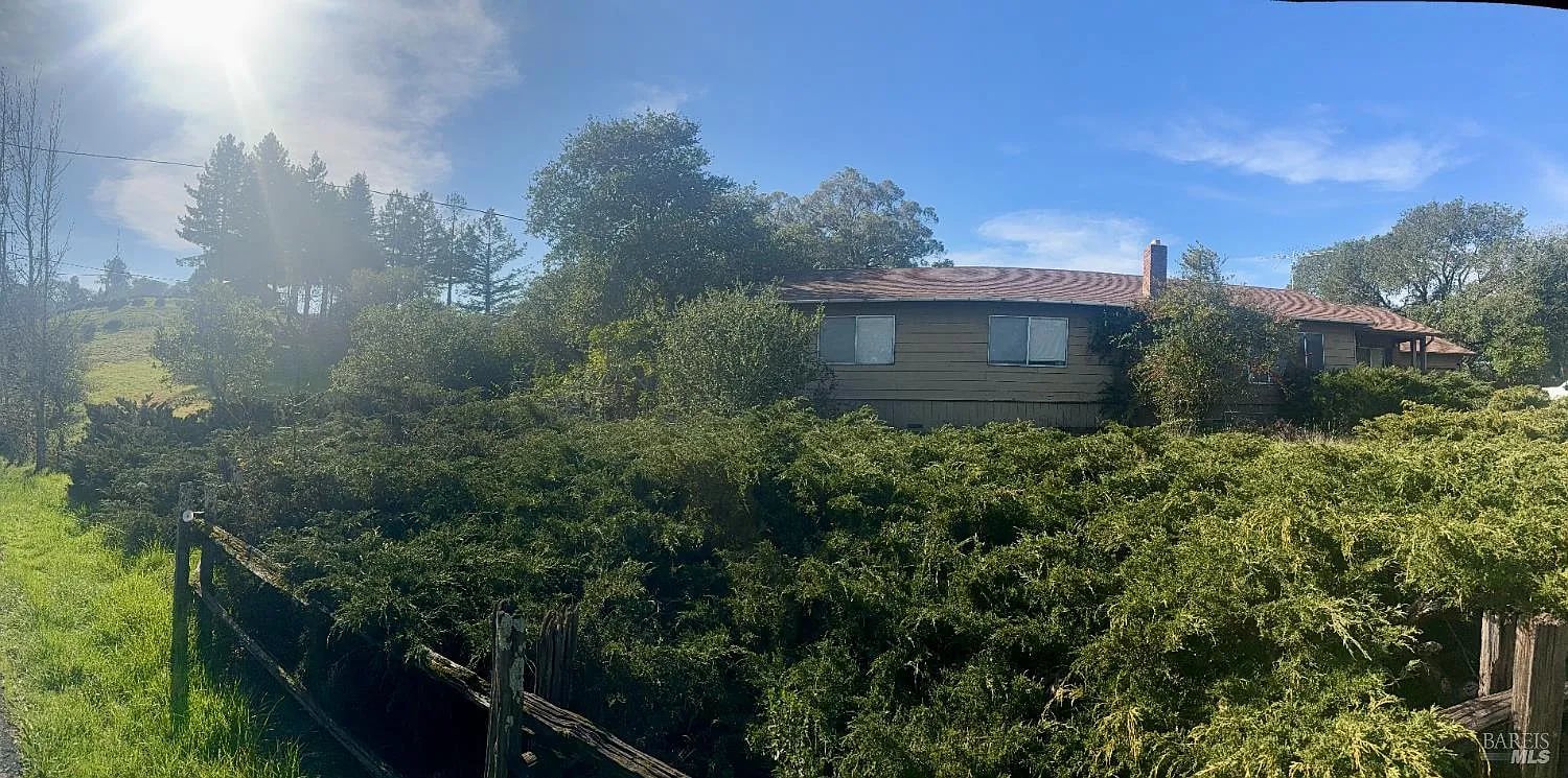 4550 Hidden Springs Road - Photo 1