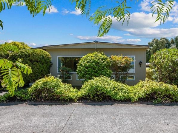 7 Chico Drive - Photo 1