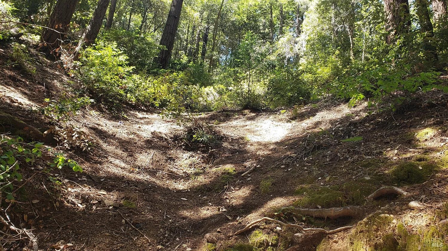 18190 Old Monte Rio Road - Photo 1