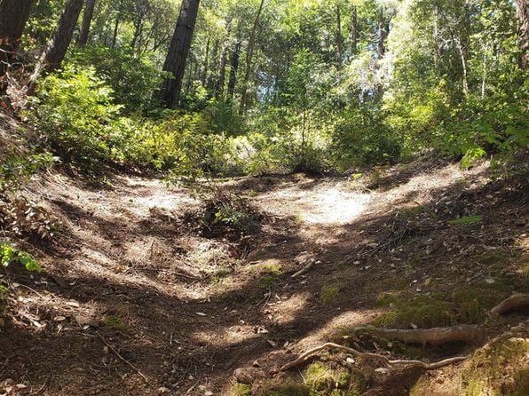 18190 Old Monte Rio Road - Photo 1