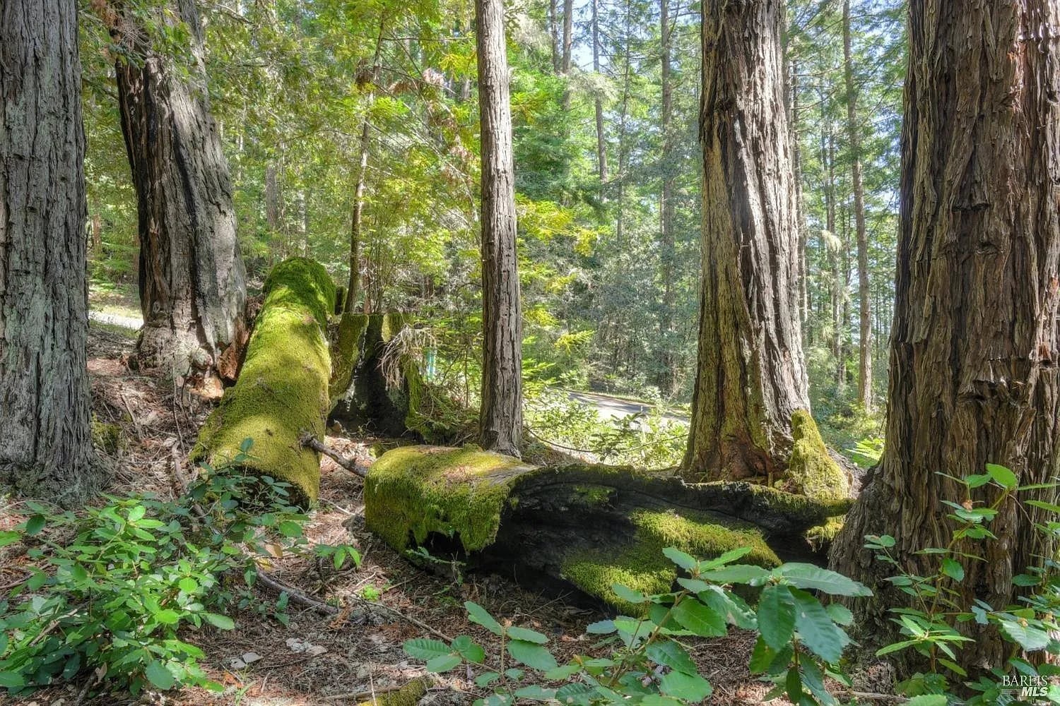 335 Deerfield - Photo 1