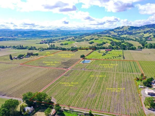 1695 Geysers Road - Photo 1