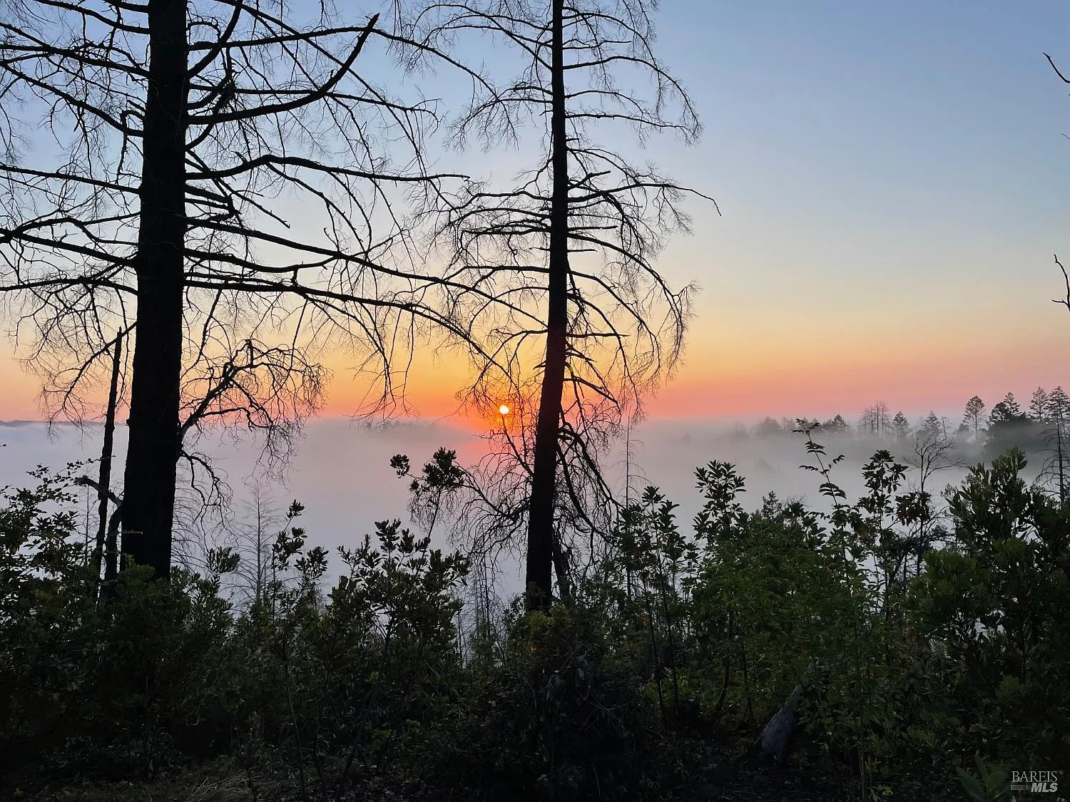 3880 Spring Mountain Road - Photo 1