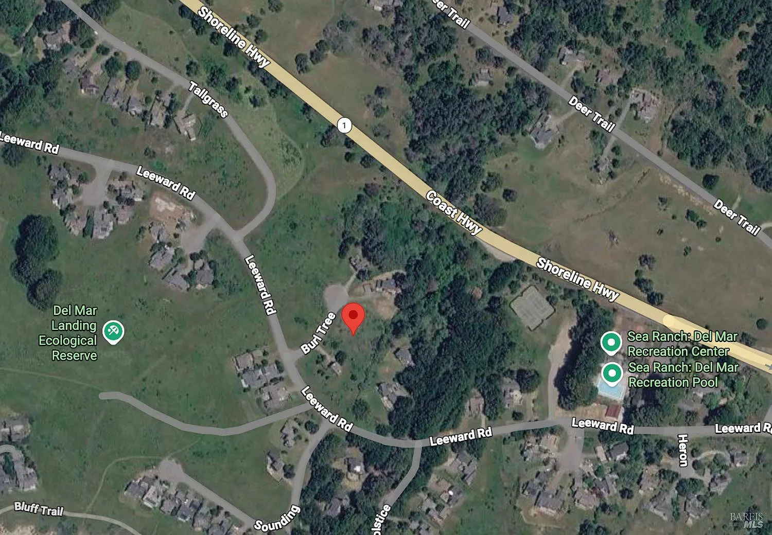 74 Burl Tree - Photo 1